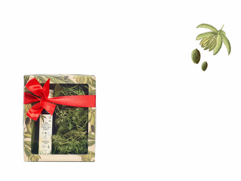 NR 6. MAŽAS RINKINYS "SVEIKATA IR RAMYBĖ SAPNUOSE"